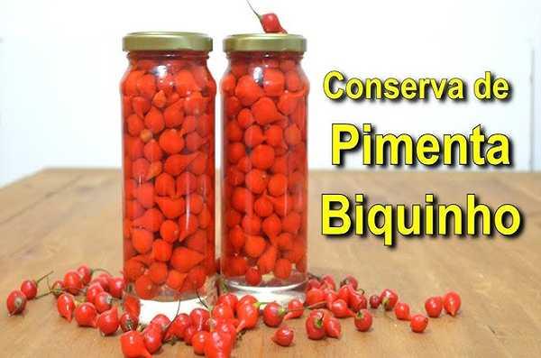 Como Fazer Conserva de Pimenta Biquinho