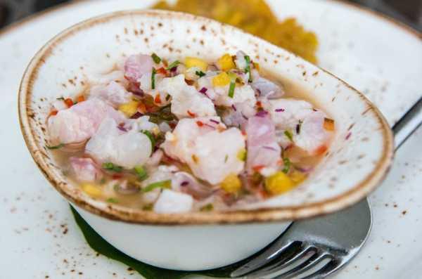 Ceviche de Salmão